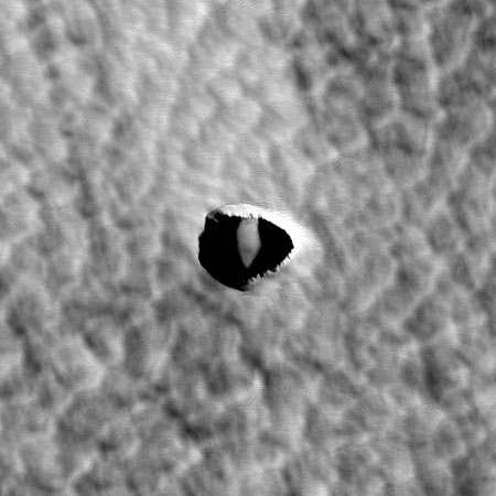 Mars Caves Might Protect Microbes (or Astronauts)